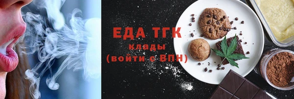 индика Инта