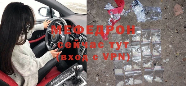 индика Инта