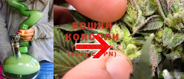 индика Инта
