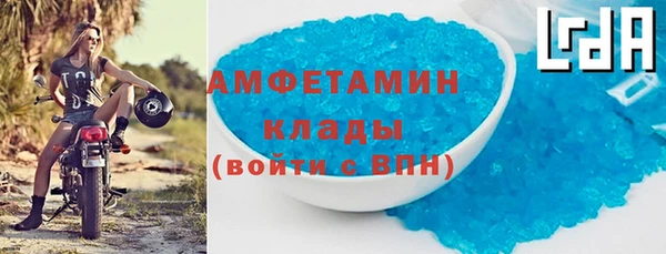 индика Инта