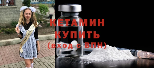индика Инта