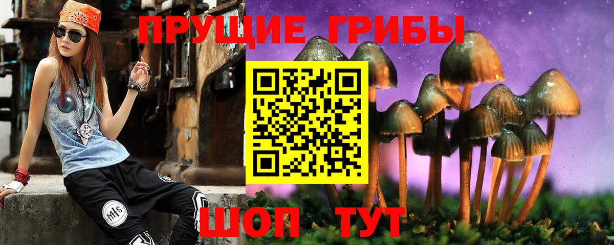 Псилоцибиновые грибы Magic Shrooms  Вход с VPN  Галлюциногенные грибы GOLDEN TEACHER  Лиски 